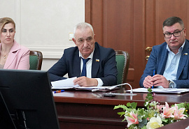 Комитет по здравоохранению и соцполитике рассмотрел вопросы обеспечения жильем детей-сирот и лекарственного обеспечения пациентов с орфанными заболеваниями